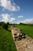 Heddon on the Wall
