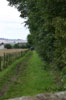 near Robin Hood Inn