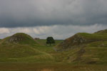 Sycamore Gap in distance