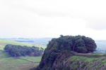 Wall